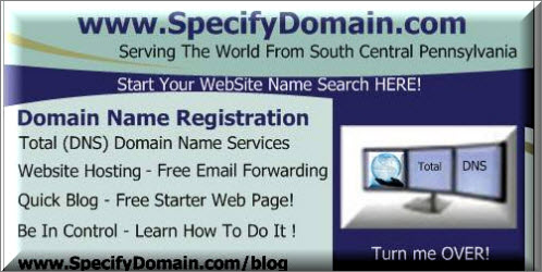 Domain Registration and Management Register or transfer domain names.